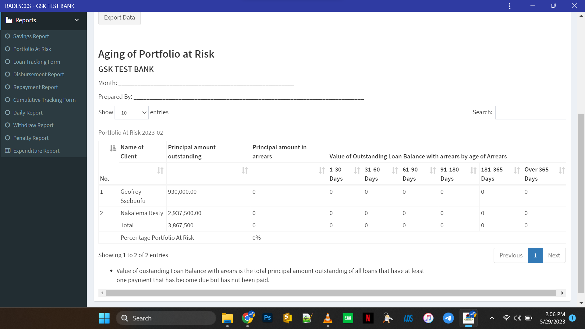 Finance Institution MIS Screenshot 